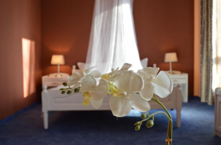 Hotel Shterev Sopot Zewnętrze zdjęcie